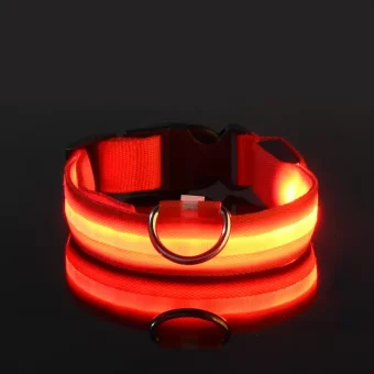 LED ogrlica za kućne ljubimce koja svijetli u mraku